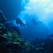 divers