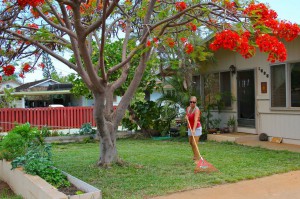 “My yard is reef-friendly because I only use organic compost and fertilizer. I also save water by washing my car on the lawn and growing organic vegetables” -Ananda Stone